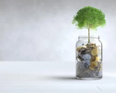 Guia Completo: Como Planejar a Aposentadoria e Gara ...
